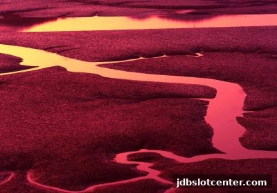北京赛车玩法全解析:jdb电子平台上的数字竞猜策略与优惠