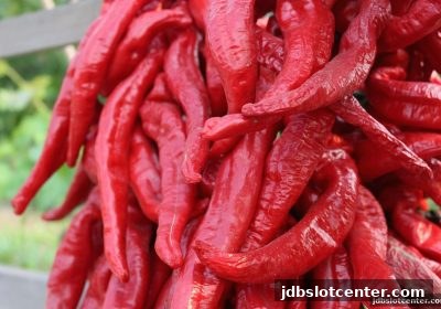 jdb电子水果机虚拟币与签到：玩法机制及理性策略全解析