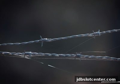 jdb电子深度解析：龙虎斗游戏安全指南，从风险识别到长效防护